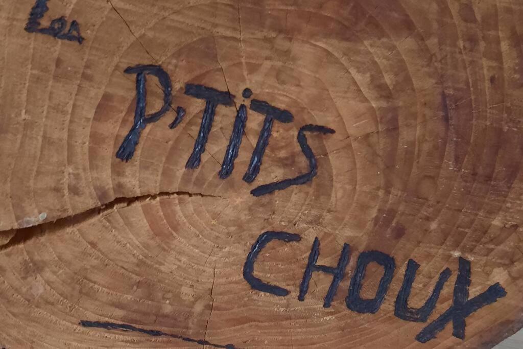 Gite Les Ptits Choux Saint-Quentin-Lamotte-Croix-au-Bailly Esterno foto